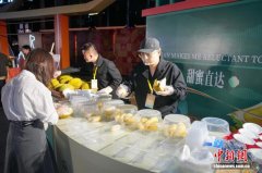 东盟国家冀借广西渠道扩大对华贸易